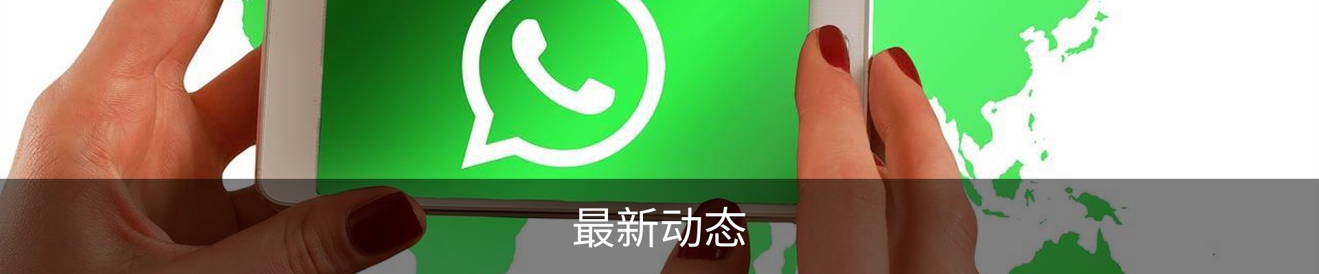最新动态