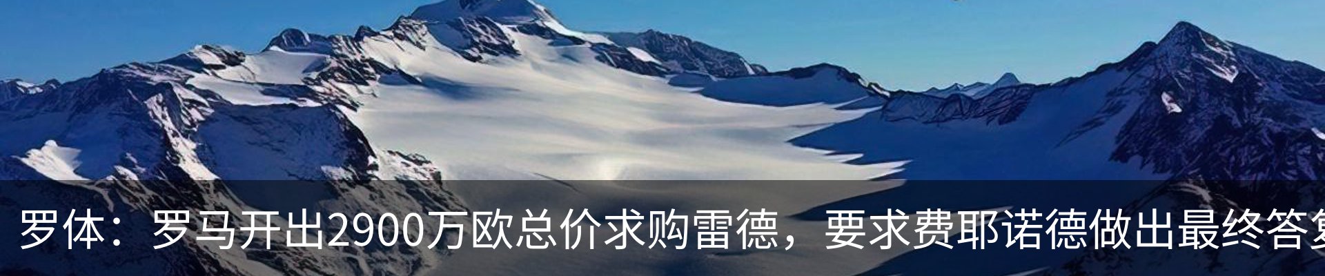 最新动态